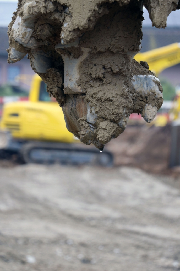 water droplet from a foret